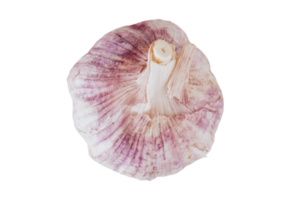 White garlic isolated on a transparent background png