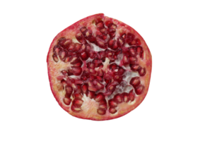 Red pomegranate fruit isolated on a transparent background png