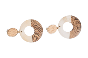 Brown earrigns isolated on a transparent background png