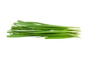 Green chinese onions isolated on a transparent background png