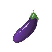 Eggplant vegetable icon. Cartoon illustration of eggplant vegetable icon for web design vector