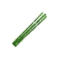 Green asparagus on a white background. Vector illustration, flat design.