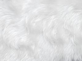 White clean wool texture background. light natural sheep wool. white seamless cotton. texture of fluffy fur for designers. close-up fragment white wool carpet. photo