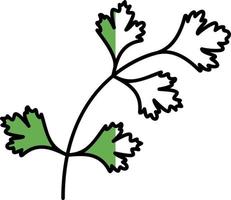 diseño de icono de vector de cilantro