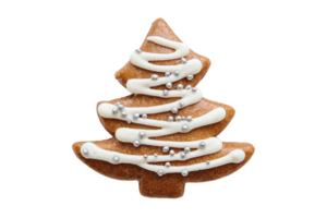 Brown christmas cookie isolated on a transparent background png