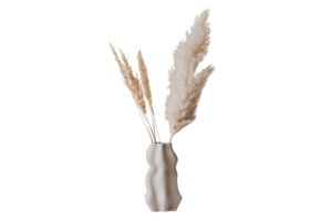 Beige vase with pampas grass isolated on a transparent background png