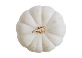 White pumpkin isolated on a transparent background png