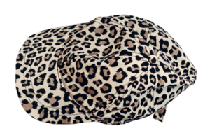 Brown hat isolated on a transparent background png