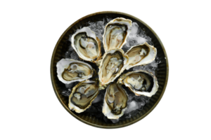 Black plate with oysters isolated on a transparent background png