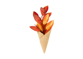 cone com folhas isolado em uma transparente fundo png