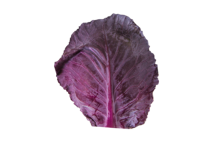 Vegetables purple cabbage leaf isolated on a transparent background png