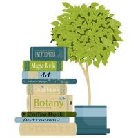 Stack of colored books and a houseplant vector