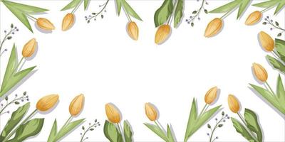 amarillo tulipanes en un blanco antecedentes con hojas. bandera modelo para web diseño, aplicaciones, postales vector. dibujos animados estilo vector