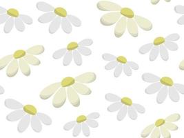 Seamless daisy pattern. Vector background with white wild chamomiles. Medical herbs