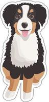 Vector sticker with cute cartoon Bernese mountain dog sitting and smiling, isolated on transparent background. Domestic happy pet