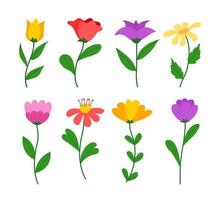 Set of Various Flower with Stems and leaves, spring flower flat style illustration vector