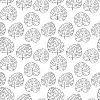 Seamless pattern black lines manstera leaves on white background vector