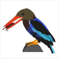 illustration of the Javanese Cekakak bird which has beautiful feather colors vector