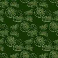 Fresh lemon  and leaves. Fruit seamless pattern. Vector illustration.