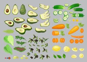 limón, aceituna, zanahoria, pepino, palta, y lechuga. vector vegetales colocar.