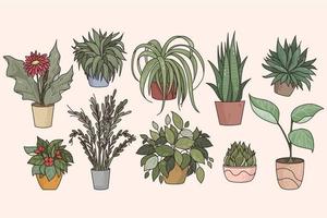 Set of various potted indoor house plants vector