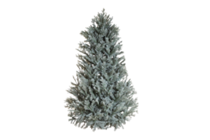 Green christmas tree isolated on a transparent background png