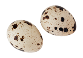 Quail eggs isolated on a transparent background png