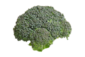 Vegetables broccoli isolated on a transparent background png