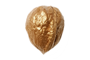 Golden seed isolated on a transparent background png