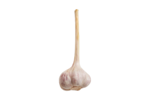 Garlic isolated on a transparent background png