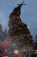 LOS ANGELES  DEC 23  GRINCHmas Crooked Christmas Tree at the GRINCHmas  Celebrity Holiday Readings  at Universal Studios Theme Park on December 23 2010 in Los Angeles CA photo