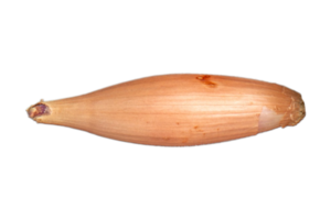 Onion isolated on a transparent background png