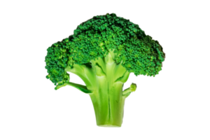 Frais brocoli isolé sur une transparent Contexte png