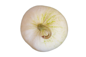 White pumpkin isolated on a transparent background png