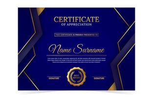 Professional Certificate Template vector