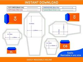 Envelope set of standard sizes dieline template Box dieline and 3D box vector