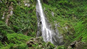 paysage de Célibataire l'eau tomber sur le tropical forêt. le métrage est adapté à utilisation pour aventure contenu médias, la nature vidéo avec forêt Contexte. video