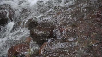 Water flowing on the mountain river when rainy season with water motion through the river stone. The footage is suitable to use for environment and fresh water content media. video