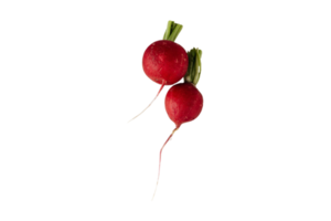 Two radishes isolated on a transparent background png