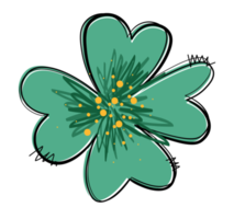 Hand drawn clover leaf png