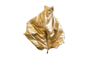 golden Blatt isoliert auf ein transparent Hintergrund png
