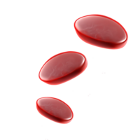 des globules rouges png