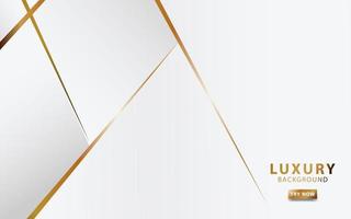 modern white abstract background with golden line vector