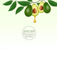 Fresh avocado for good health vector illustration