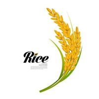 Premium Rice great quality design concept  vector. vector