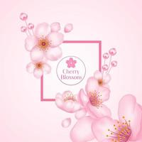 Cherry blossom, sakura branch with pink flowers illustration. vector