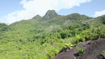 Drönare skott nära granit sten som visar Seychellerna högsta berg- morgon seychellois video