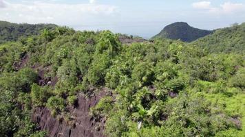 Drone shot passing over mountain cliff inside the dense forest on Mahe island video