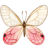 Watercolor hand drawn butterfly png