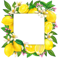 Watercolor mediterranean lemon frame png